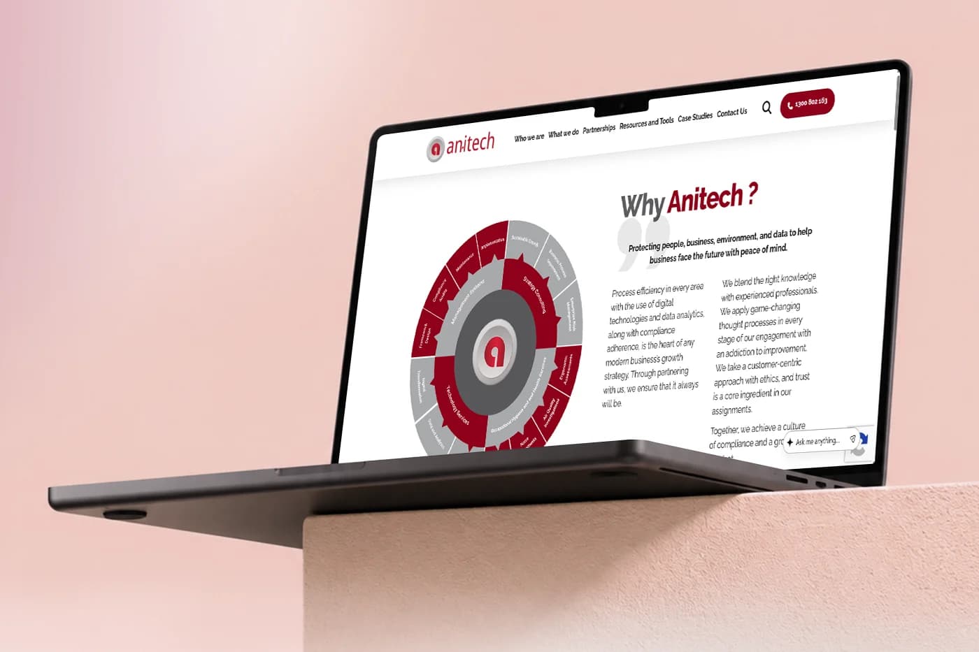 Portfolio preview for Anitech